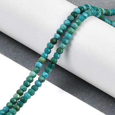 Natural Turquoise Dyed Beads Strands G-H070-A01-01-1