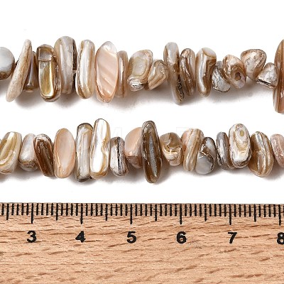 Natural Freshwater Shell Beads Strands X-SHEL-A006-05-1