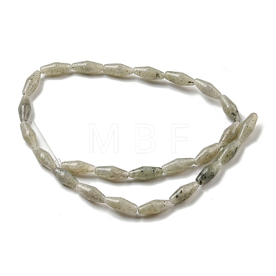 Natural Labradorite Beads Strands G-A223-A04-01-1