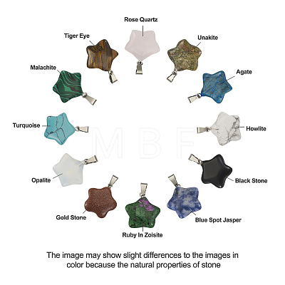 Yilisi 24Pcs 12 Styles Star Natural & Synthetic Gemstone Pendants G-YS0001-22-1