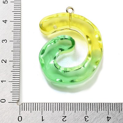 Resin Pendant FIND-Q107-01G-03-1