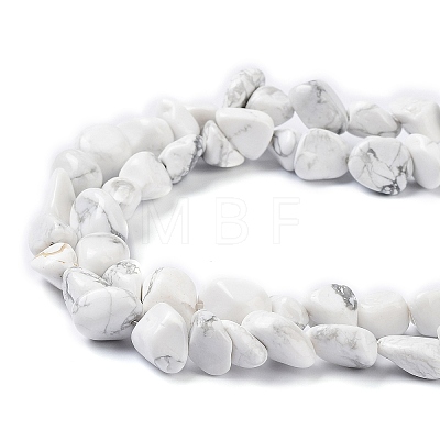 Natural Howlite Beads Strands G-K337-06-1