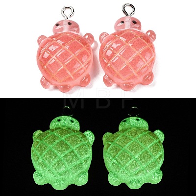 Gradient Color & Luminous Opaque Resin Pendants RESI-S011-01D-1