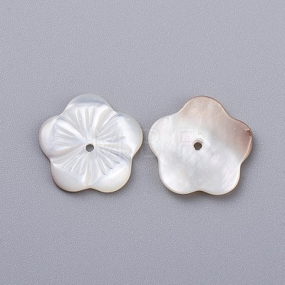 Natural White Shell Beads BSHE-K054-23-1