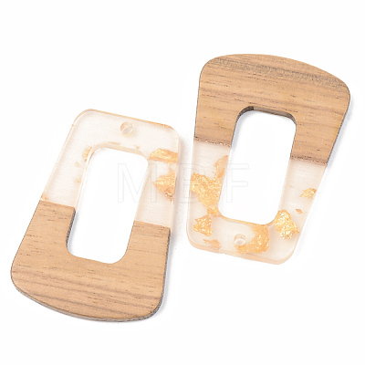 Transparent Resin & Walnut Wood Pendants RESI-S389-034A-B05-1