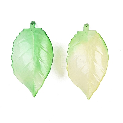 Gradient Color Acrylic Big Pendants OACR-N137-30-1