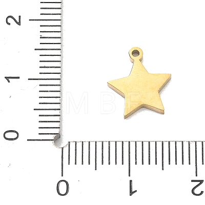 304 Stainless Steel Charms SA-CBA2714-01D-G-1