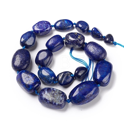 Natural Lapis Lazuli Beads Strands G-I194-27-1