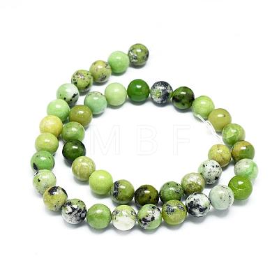 Natural Serpentine Beads Strands G-F576-01-10mm-1