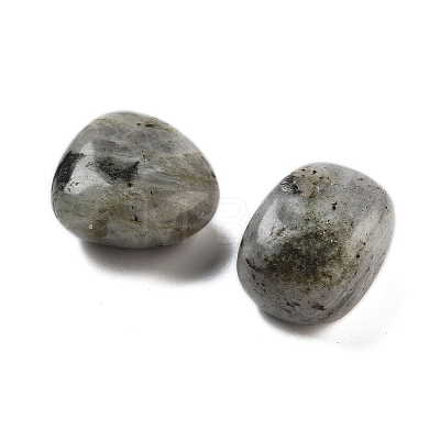 Natural Labradorite Beads G-O029-08R-1