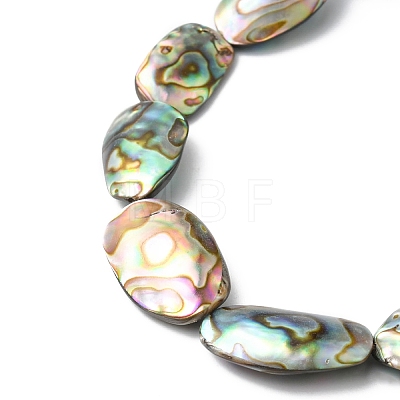 Natural Paua Shell Beads Strands SHEL-F006-03-1