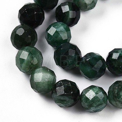 Natural Fuchsite Beads Strands G-S345-10mm-33-1