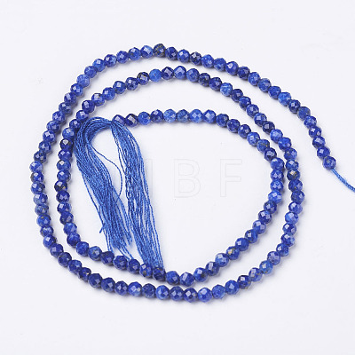 Natural Lapis Lazuli Beads Strands X-G-D165-B-2mm-1