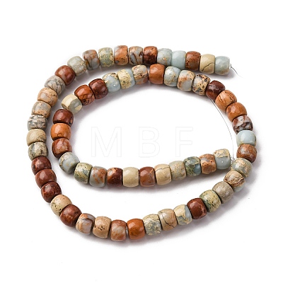Natural Aqua Terra Jasper Beads Strands G-L624-D03-10x8mm-1