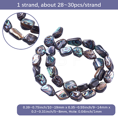 1 Strand Natural Abalone Shell/Paua Shell Beads Strands SSHEL-PA0001-03-1
