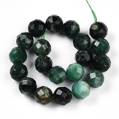 Natural Fuchsite Beads Strands G-S345-10mm-33-1