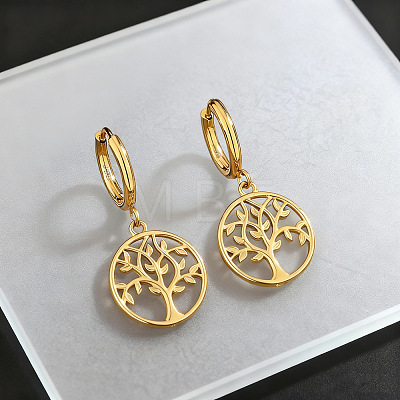 304 Stainless Steel Hoop Dangle Earrings for Women WG02B39-01-1