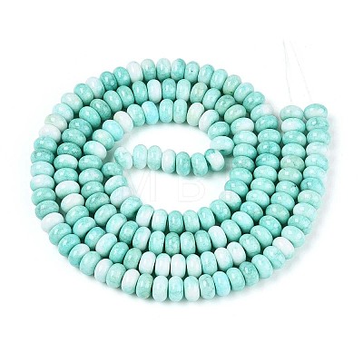Glass Beads Strands GLAA-N059-5x8mm-44-1