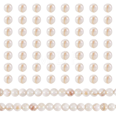 2 Strands AB Color Natural Freshwater Shell Beads Strands BSHE-TA0001-40-1