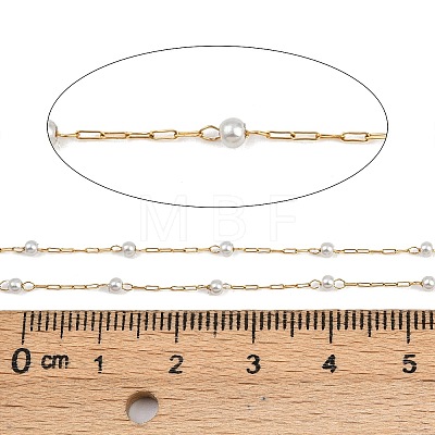 304 Stainless Steel Paperclip Chains CHS-P022-01G-1