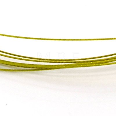 Tiger Tail Wire Bracelets BJEW-D285-M-1