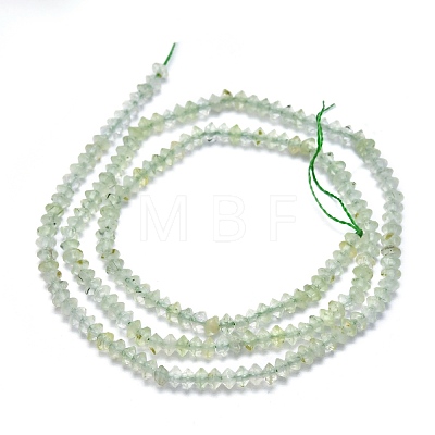 Natural Prehnite Beads Strands G-F686-10A-02-1
