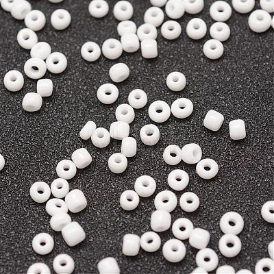 6/0 Glass Seed Beads X-SEED-J014-F6-41-1