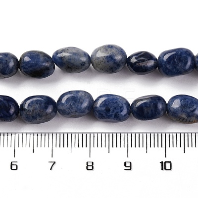 Natural Sodalite Beads Strands G-G146-A03-01-1