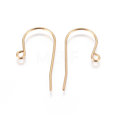 304 Stainless Steel Earring Hooks STAS-F227-29-G-1