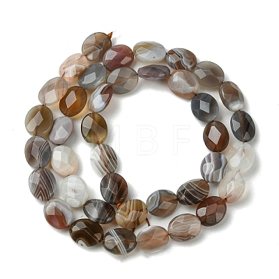 Natural Botswana Agate Beads Strands G-H004-B02-02-1