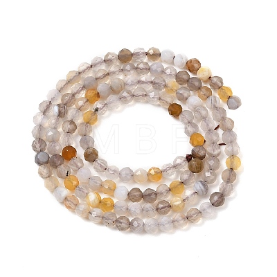 Natural Botswana Agate Beads Strands G-A129-3mm-18-1