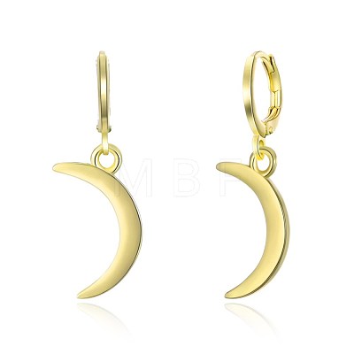 Brass Dangle Hoop Earrings EJEW-BB31957-1