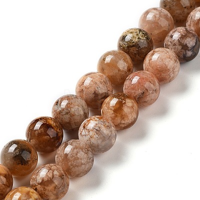 Natural Flower Agate Beads Strands G-B044-A01-03-1