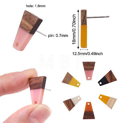Craftdady 12 Pairs 6 Colors Resin & Wood Stud Earring Findings MAK-CD0001-04-1