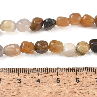 Natural Petrified Wood Beads Strands GG-CBA9392-31-1