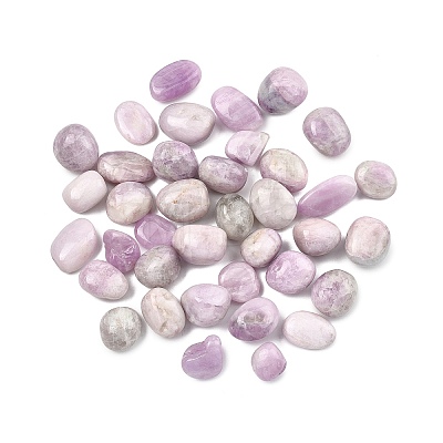 Natural Kunzite Beads G-G348-01A-15-1