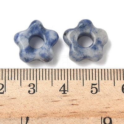 Natural Blue Spot Jasper European Beads G-C252-02B-1