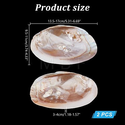 2Pcs Natural Freshwater Pearl Shell Decoration SHEL-NB0001-64-1