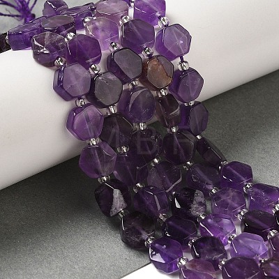 Natural Amethyst Beads Strands G-P534-A13-01-1