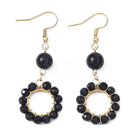 304 Stainless Steel Round Dangle Earrings EJEW-JE06786-02-1
