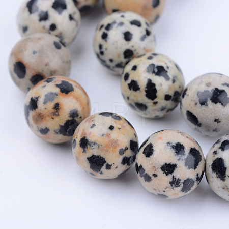 Natural Dalmatian Jasper Beads Strands X-G-Q462-6mm-30-1