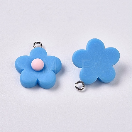 Resin Pendants RESI-TAC0002-13B-1