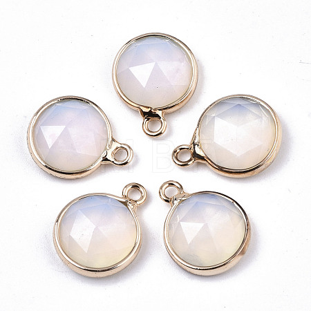 Opalite Charms G-N326-49G-1