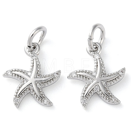 Rack Plating Brass Micro Pave Clear Cubic Zirconia Charms KK-D097-04P-1