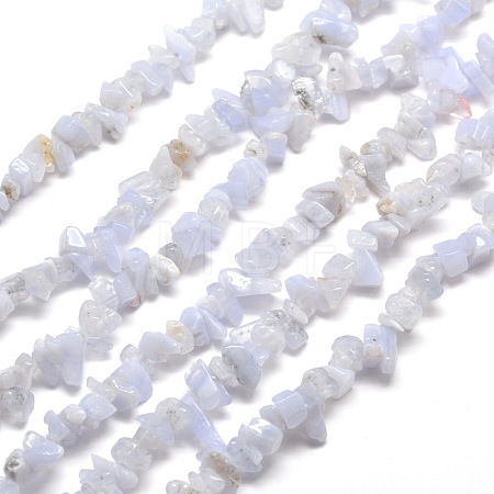 Natural Blue Lace Agate Chips Beads Strands G-M205-50-1