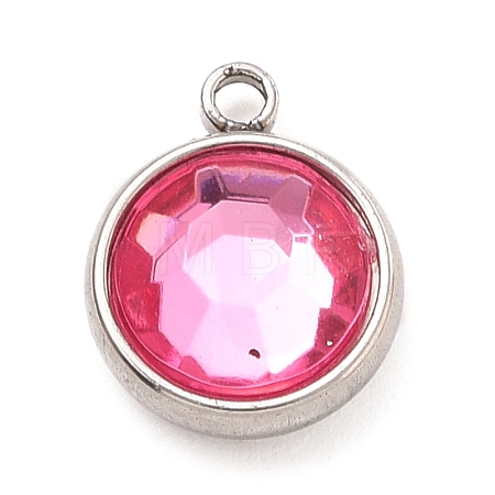 304 Stainless Steel Charms STAS-I165-04A-P-01-1