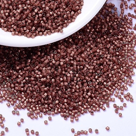 MIYUKI Delica Beads SEED-X0054-DB2179-1
