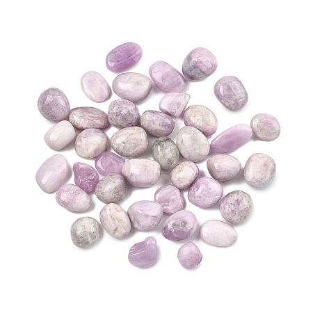 Natural Kunzite Beads G-G348-01A-15-1