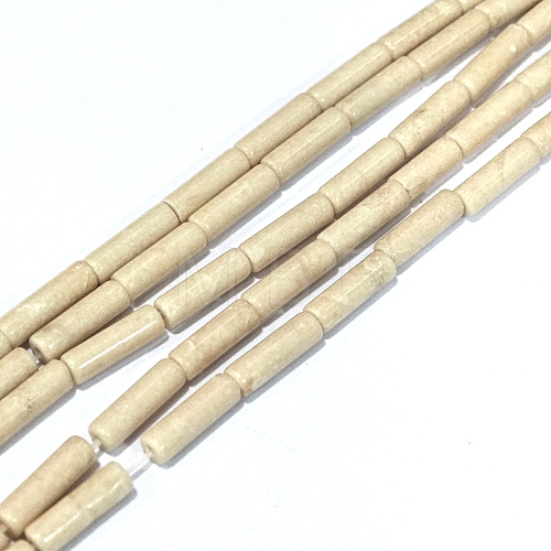 Natural Petrified Wood Beads Strands G-F247-49-1