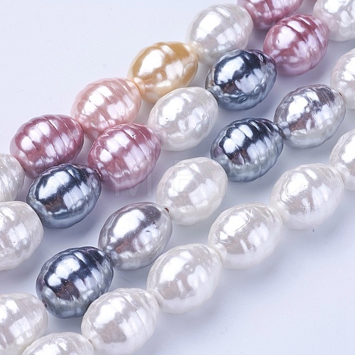 Shell Pearl Beads Strands BSHE-P030-03-1